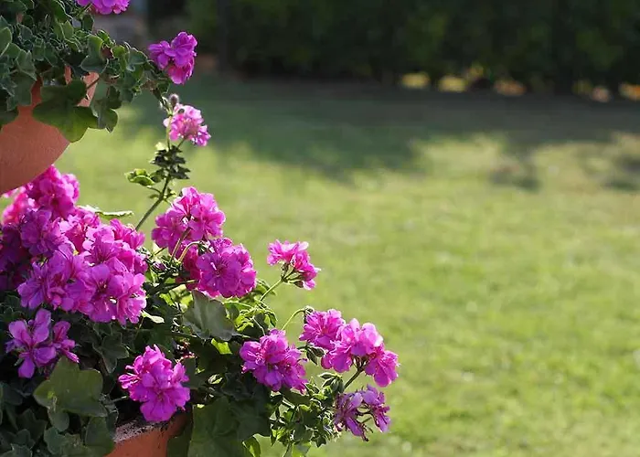Da Rosa 3* Neviglie